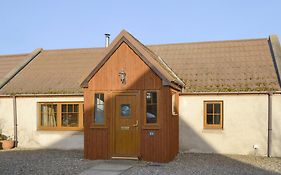 Shedend